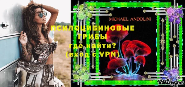 не бодяженный Алексин